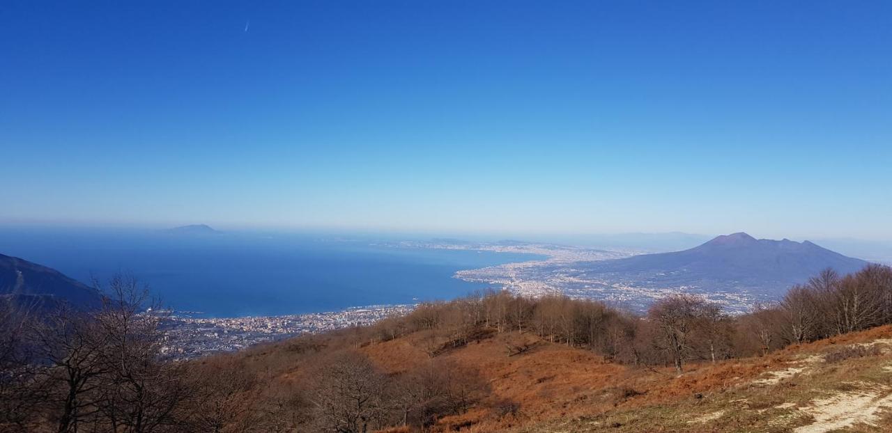 Apicella Casa Vacanze Villa Tramonti Eksteriør bilde