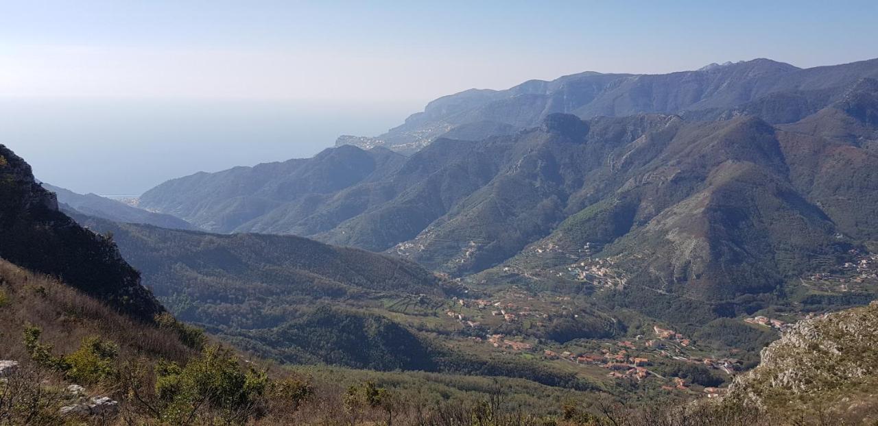 Apicella Casa Vacanze Villa Tramonti Eksteriør bilde
