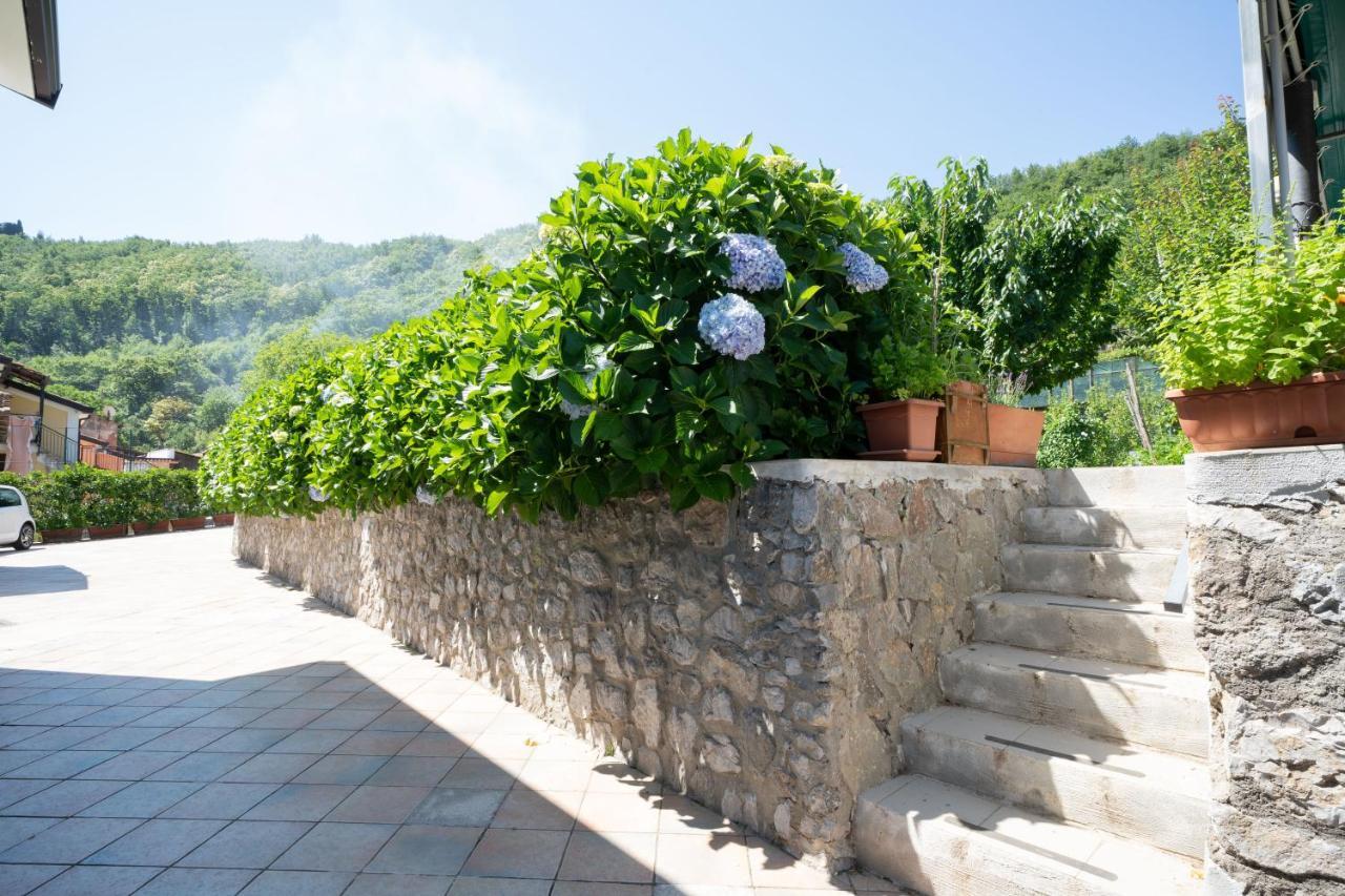 Apicella Casa Vacanze Villa Tramonti Eksteriør bilde