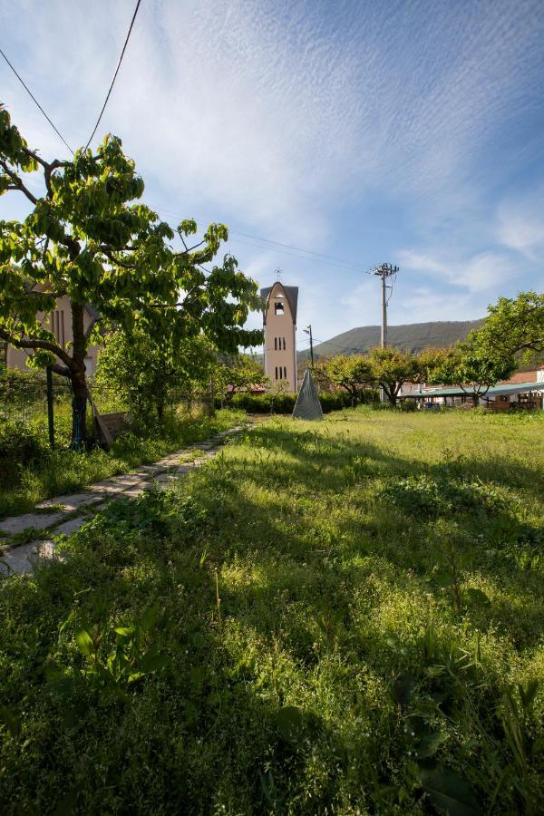 Apicella Casa Vacanze Villa Tramonti Eksteriør bilde
