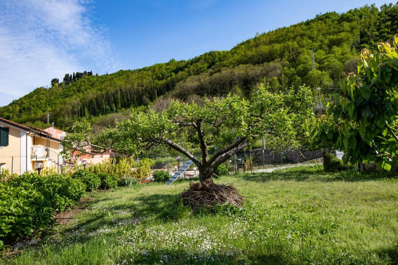 Apicella Casa Vacanze Villa Tramonti Eksteriør bilde